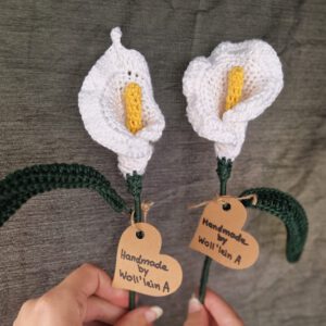 Blume Calla