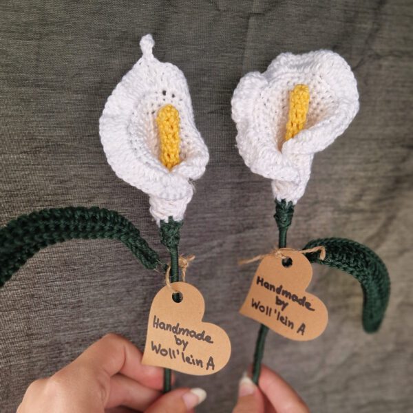 Blume Calla