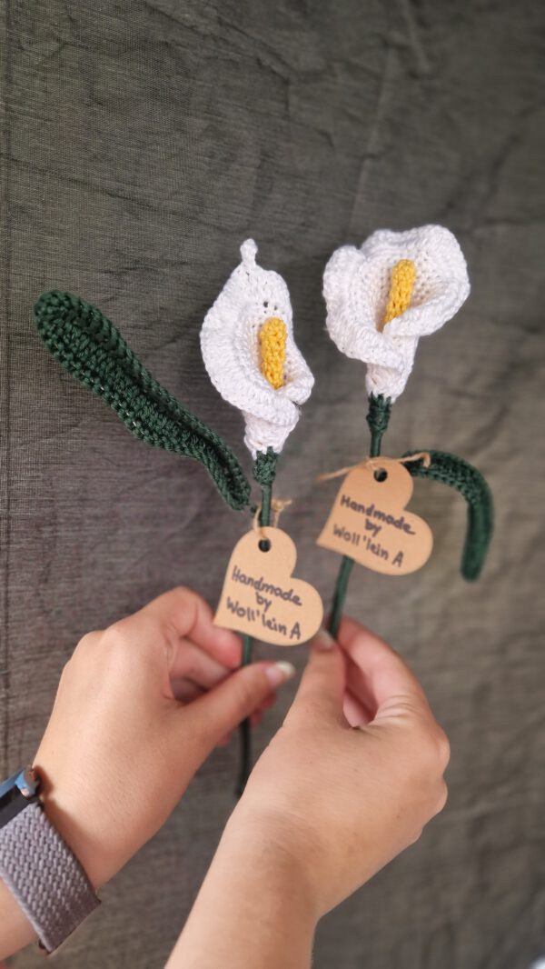 Blume Calla – Bild 2